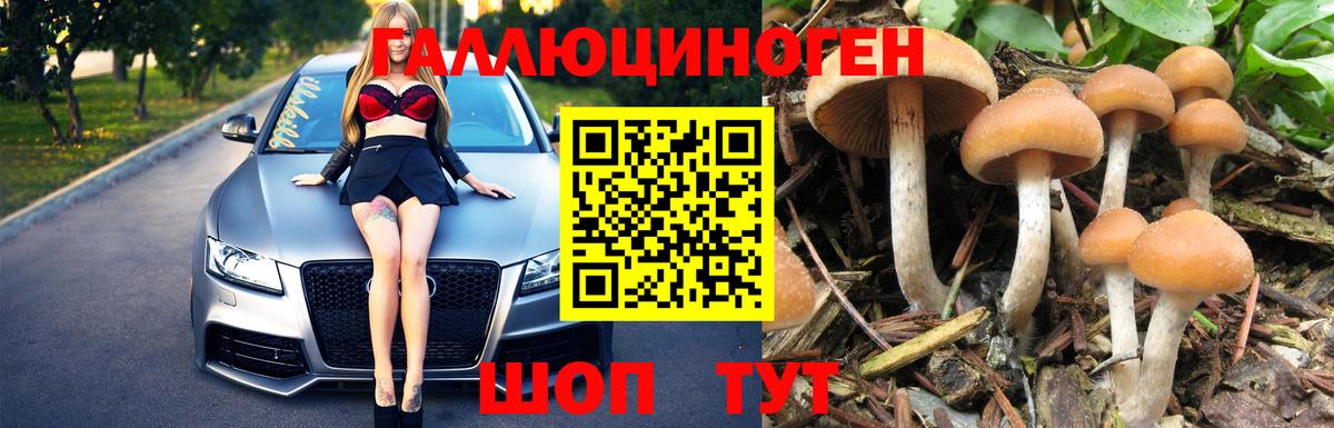 Сафоново  Галлюциногенные грибы Psilocybine cubensis  Вход с VPN 