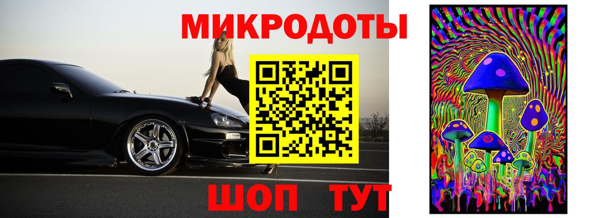 наркошоп  Галлюциногенные грибы Magic Shrooms  Сафоново  Псилоцибиновые грибы GOLDEN TEACHER 